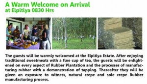 GREEN-HEART-ECO-TOURISM-BROCHURE