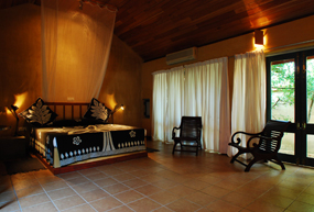 ayurveda pavilions king room