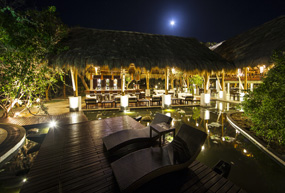 jungle beach resort blue moon
