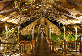 jungle beach resort 2