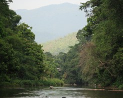 Kelani River in Kithulgala