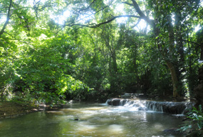 River Excursions in Sri Lanka
