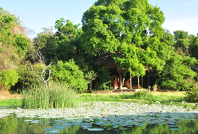 Tree House near Sigiriya