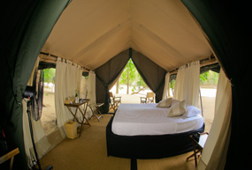 Bed in Leopard Trails Camp