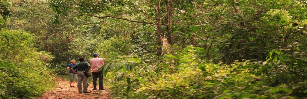 Jungle Trekking in Sri Lanka