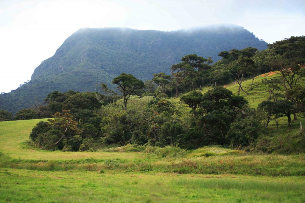 Horton Plains, Sri Lanka