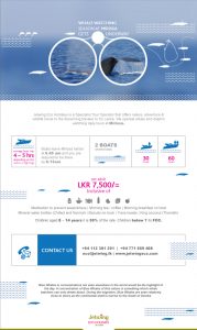 jeh-web-newsletter