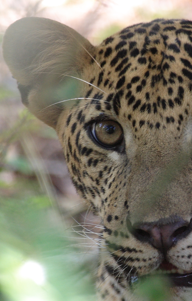 <br />
<font size='1'><table class='xdebug-error xe-warning' dir='ltr' border='1' cellspacing='0' cellpadding='1'>
<tr><th align='left' bgcolor='#f57900' colspan=