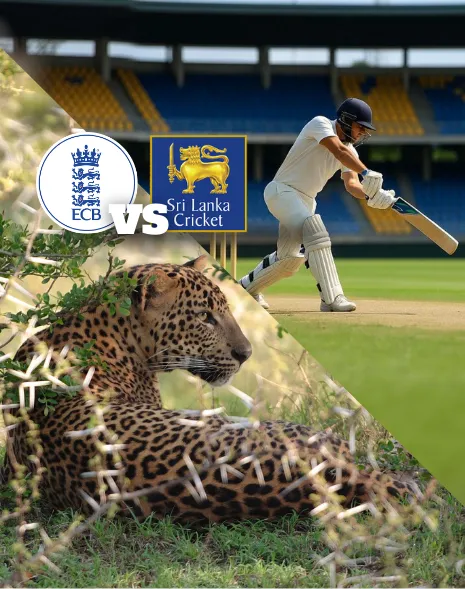 Culture, Cricket & Wildlife
