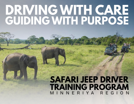 Jetwing Eco Holidays & the Future of Responsible Elephant Safaris