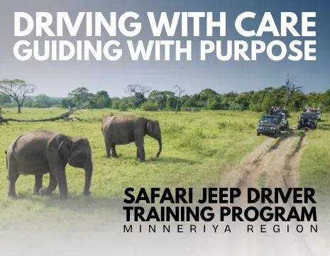 Jetwing Eco Holidays & the Future of Responsible Elephant Safaris