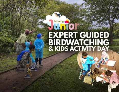 Raising Young Naturalists: Jetwing Junior’s Birdwatching Adventure