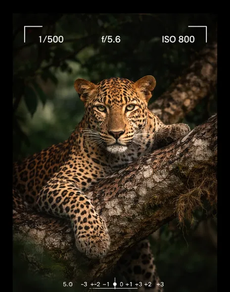 Le Jardin Extraordinaire : L’épisode du Sri Lanka