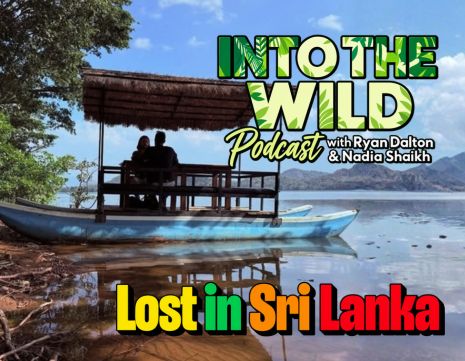 Lost in Sri Lanka: Into the Wild with Ryan Dalton and Jetwing Eco Holidays