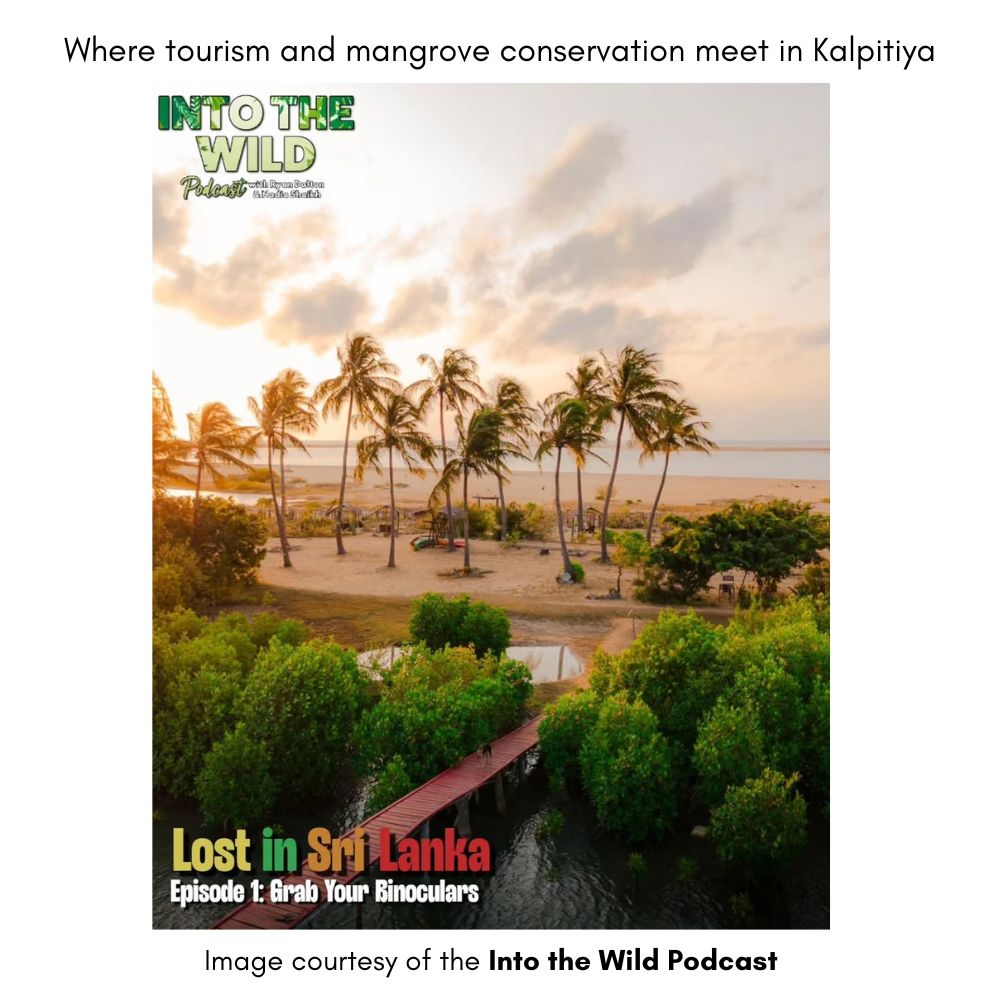 Kitesurfing Lanka in Kalpitiya, a stop on the Lost in Sri Lanka journey exploring tourism and mangrove conservation